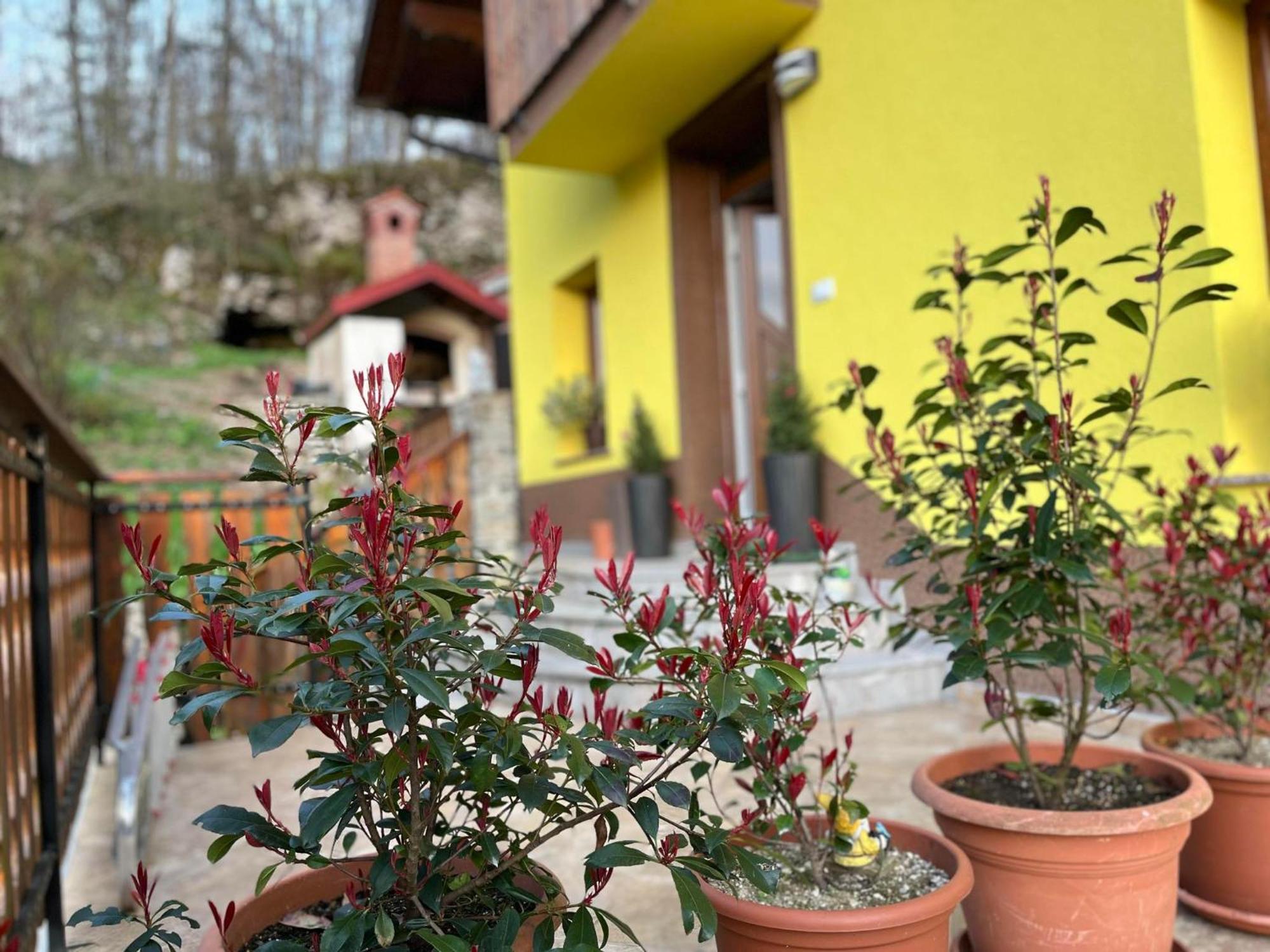 Appartement Soncni Zahod *